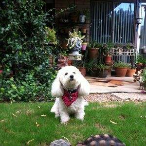 Meet your Posher, Vicki